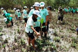 写真は、タイ・ラノーン県での植樹活動