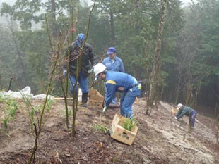 「住友ゴムGENKIの森」にて緑化活動を実施。