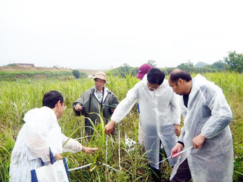 三島工場従業員による植生調査の様子