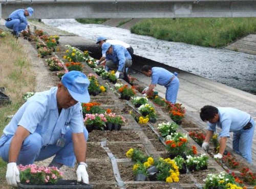 大山川を季節の花々で美しく彩る東海ゴムの従業員ら