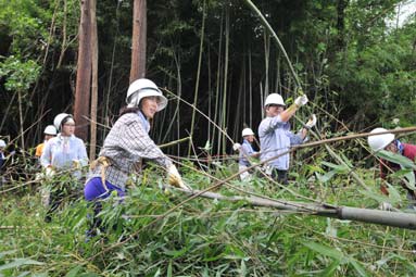 長野県池田町での森林間伐作業