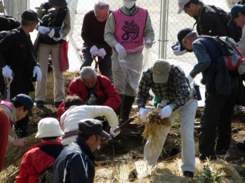 三島玉沢インターチェンジ周辺で開催された記念植樹会の様子