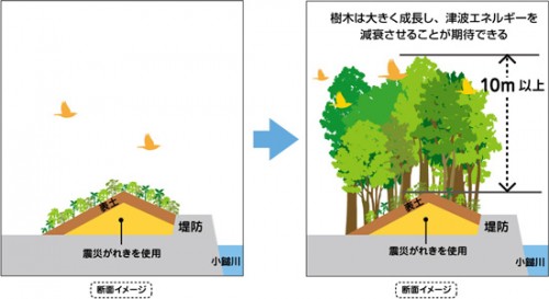 「いのちを守る森の防潮堤」イメージ