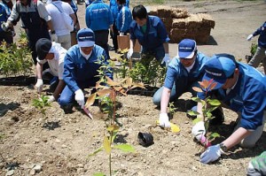 昨年の植樹祭の様子