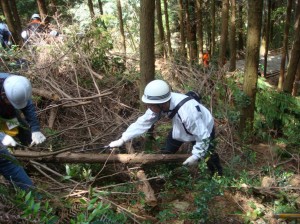 間伐材切出し作業