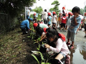 都城市立安久小学校での植栽の様子