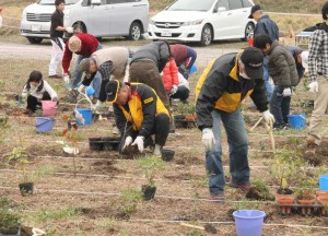 ２０１４年３月に行われた堺第７ー３区共生の森での植樹風景