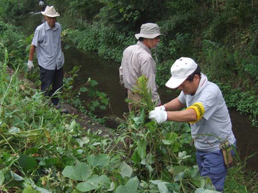 児童が安全に川に入れるように除草する従業員