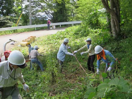 竹の間伐作業に汗を流す参加者