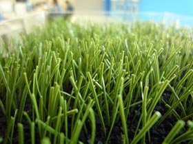住友ゴム ロングパイル人工芝の新仕様を発売 住友ゴム ロングパイル人工芝の新仕様を発売