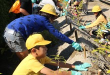 工場の森づくり（植樹の様子）