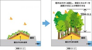 「いのちを守る森の防潮堤」イメージ