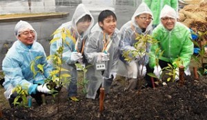 植樹する村上あま市市長（左端）と豊田合成社長の荒島氏（右端）