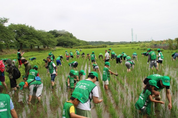 見沼たんぼで清掃活動