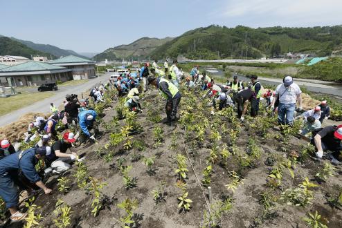 植樹する参加者