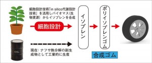 バイオマスを原料とした合成ゴム（ポリイソプレンゴム）生成のイメージ