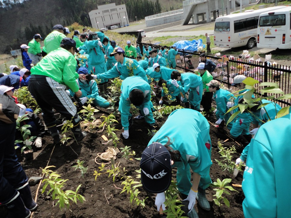 植樹する大槌学園7年生