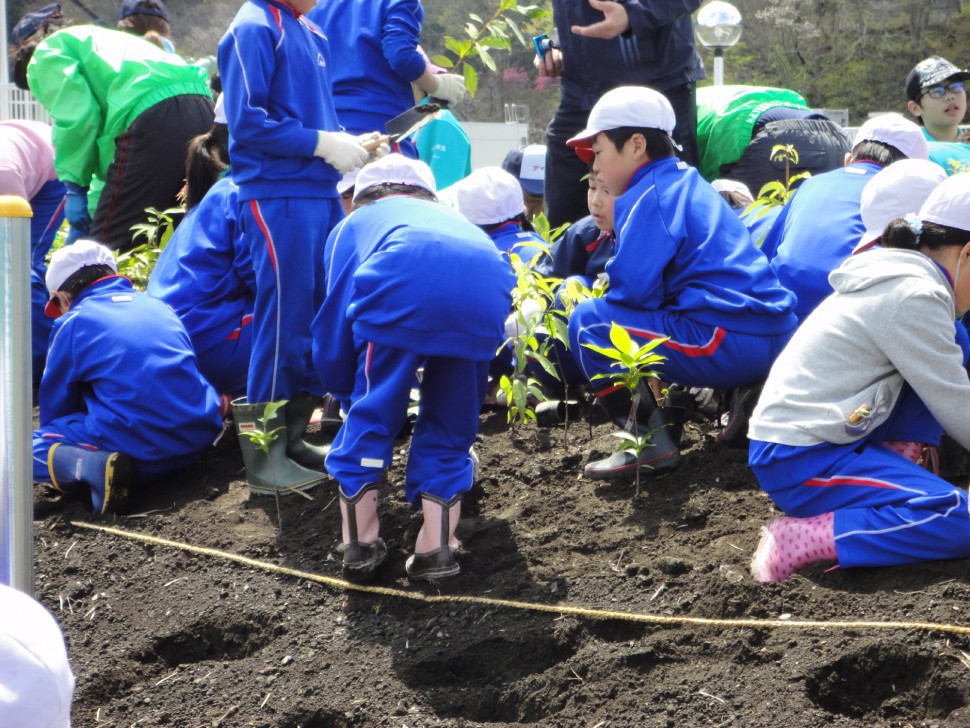 植樹する大槌学園4年生