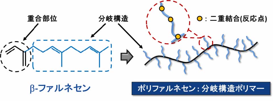 液状ファルネセンゴム