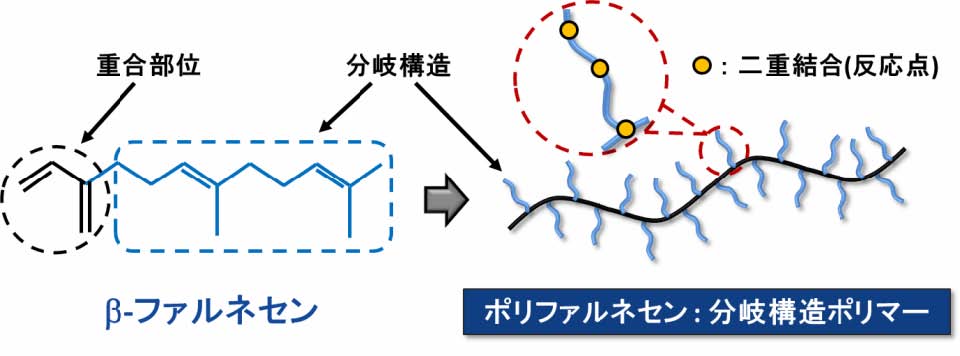 液状ファルネセンゴム