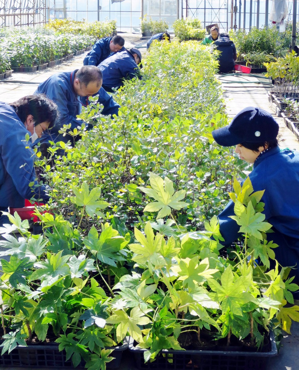 進和学園の苗場