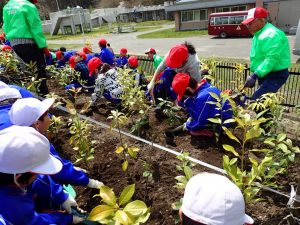 大槌学園の生徒に植樹指導をする横浜ゴムスタッフ