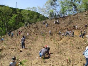 植樹を行う参加者たち