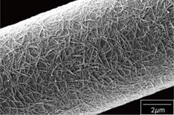 Ｎａｍｄ炭素繊維表面・電子顕微鏡写真