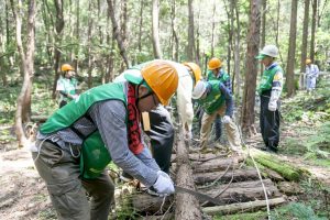 愛知県「人と自然との共生を目指した森づくり活動（間伐）」の様子