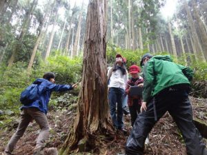 「エコピアの森・久留米」での森林教室の様子