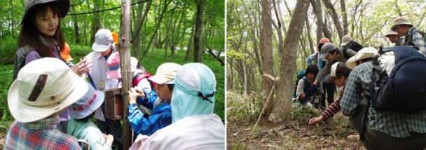 那須平成の森での自然体験活動の様子