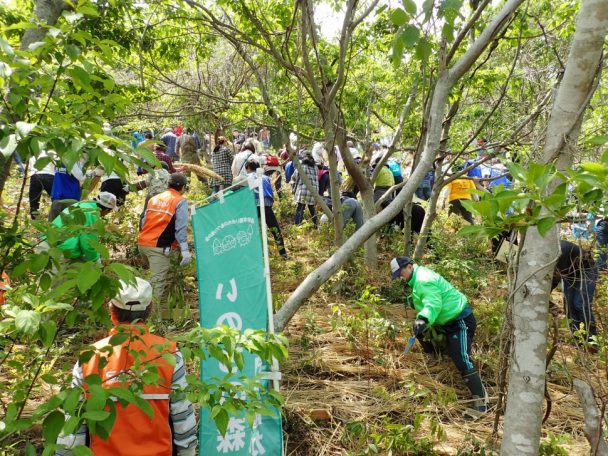 「めぐりの森」での植樹の様子