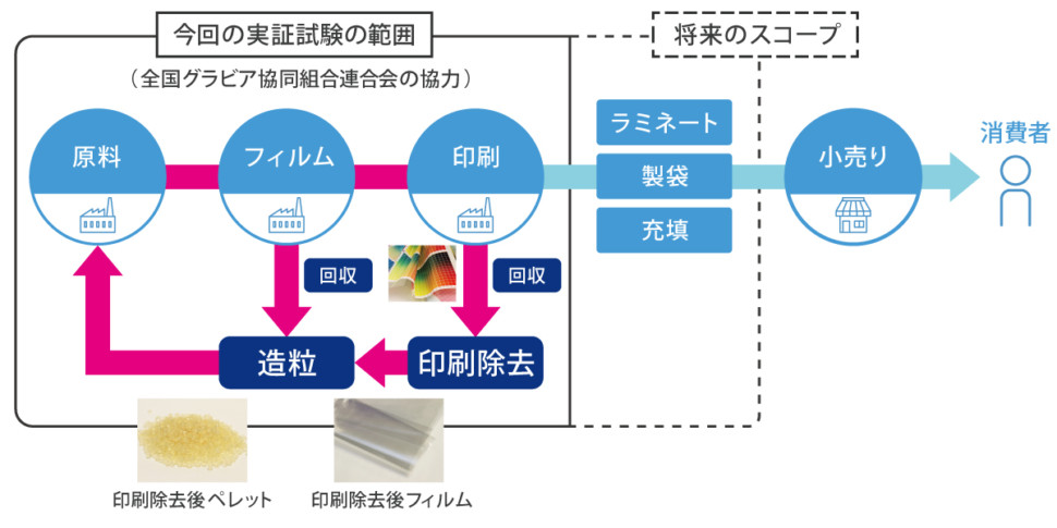 実証試験のモデル図