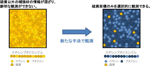 ＳＢＲ内部の硫黄架橋の粗密観測イメージ