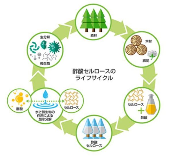 酢酸セルロースのライフサイクル
