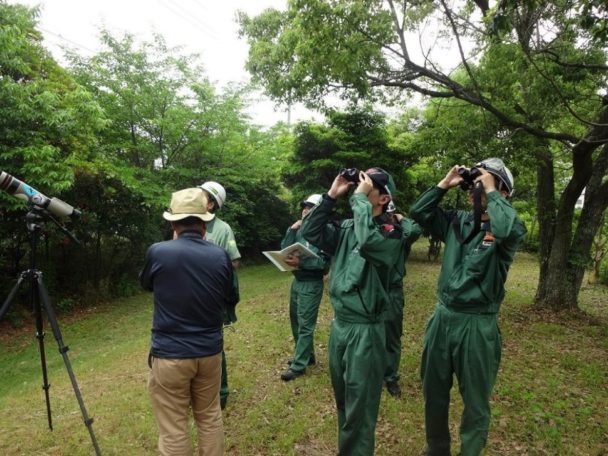 工場敷地内での野鳥観察