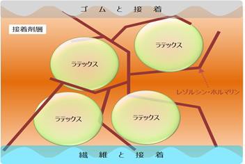 ＲＦＬ接着剤の模式図