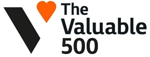 Ｔｈｅ　Ｖａｌｕａｂｌｅ　５００