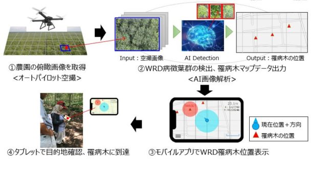 高精度病害診断技術を開発　ブリヂストン、ＩＳＩＤと