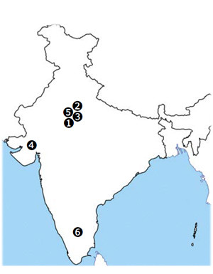 インドにおける事業体制