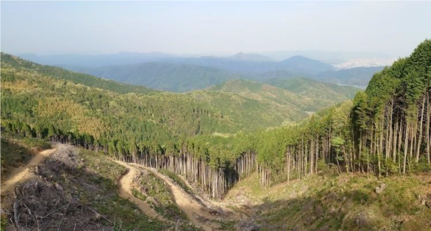 東ソーら連携協定を締結　木質バイオマス材利活用を推進