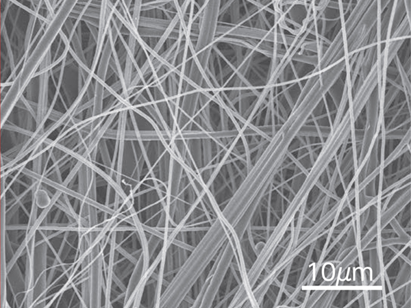シンテックスnano顕微鏡画像