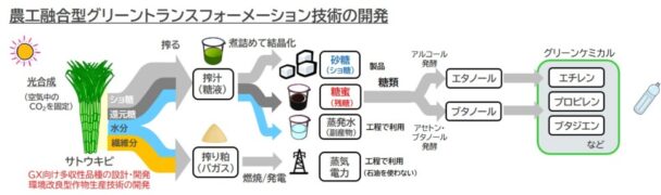 日本触媒が共同プログラム参画　農工融合型ＧＸ技術開発へ