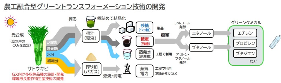 農工融合型グリーントランスフォーメーション技術の開発