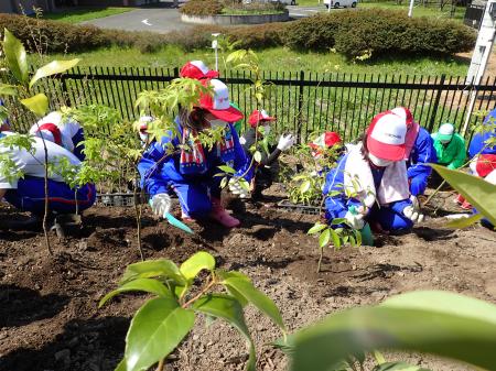 植樹をする大槌学園の児童と横浜ゴム社員