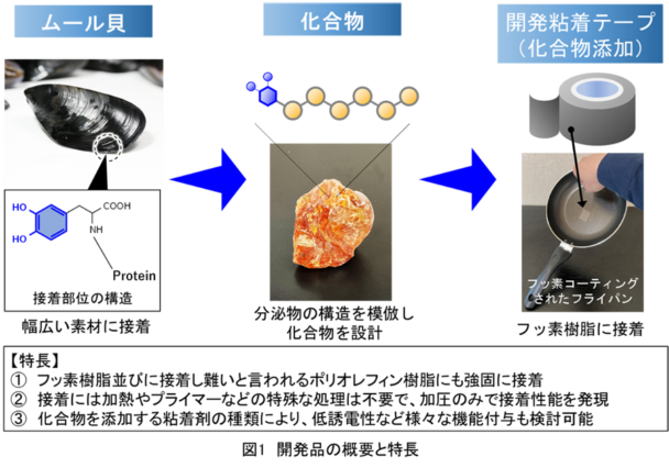 開発品の概要と特長