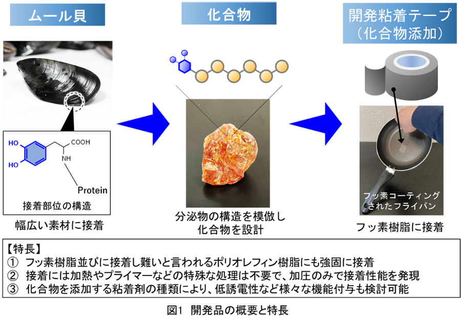 開発品の概要と特長