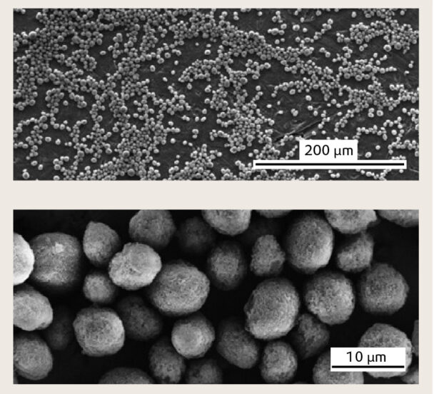 プラスチック添加剤特集　エボニック　ジャパン　ＳＰＨＥＲＩＬＥＸ ®　30ＡＢに注力　プラフィルム用途で販売増目指す