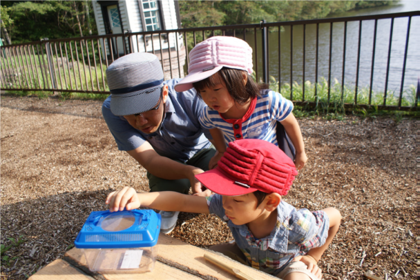 子どもの外遊びに