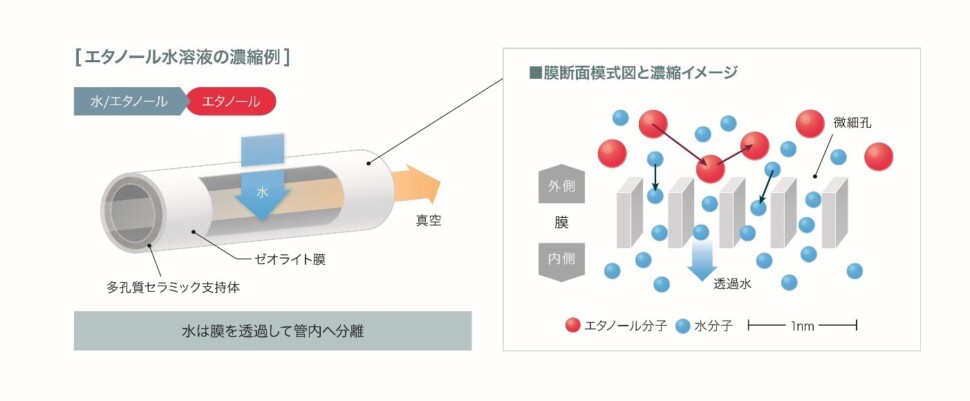 ゼオライト膜の脱水プロセス